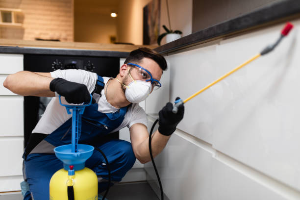Best Mosquito Control Services  in Cutler Bay, FL