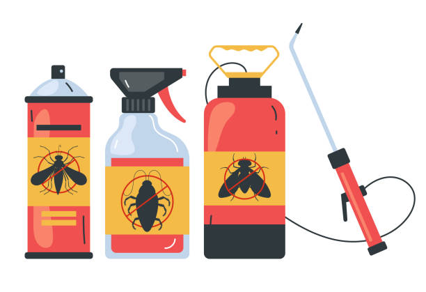 Best Affordable Pest Control Services  in Cutler Bay, FL
