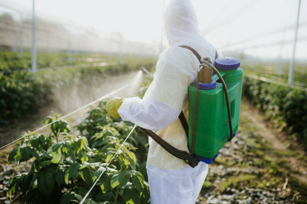 Best Emergency Pest Control  in Cutler Bay, FL